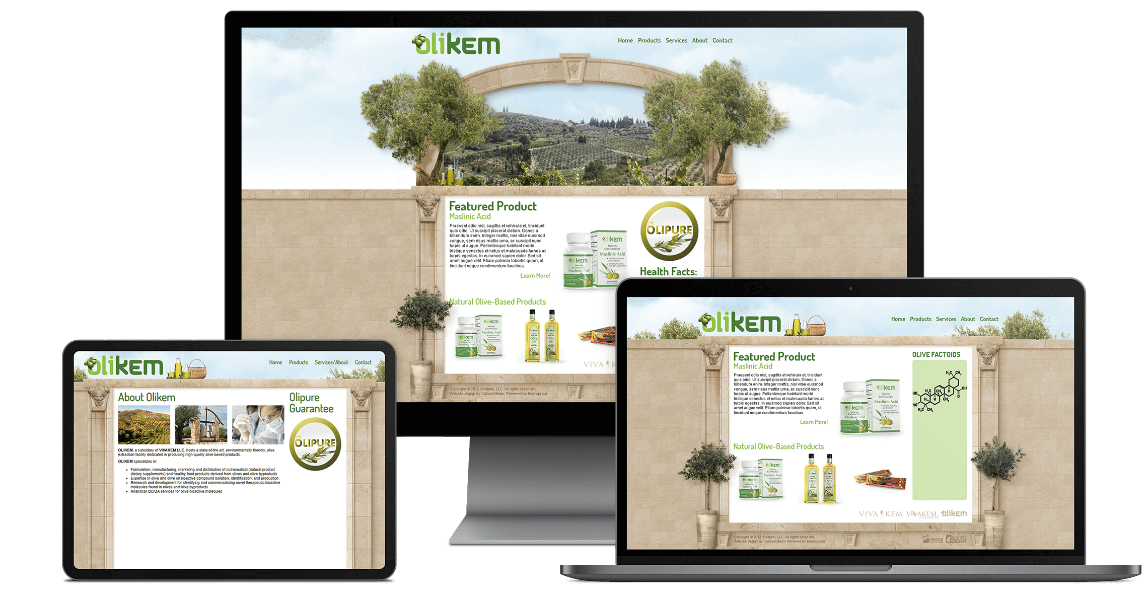 Olikem Website Design